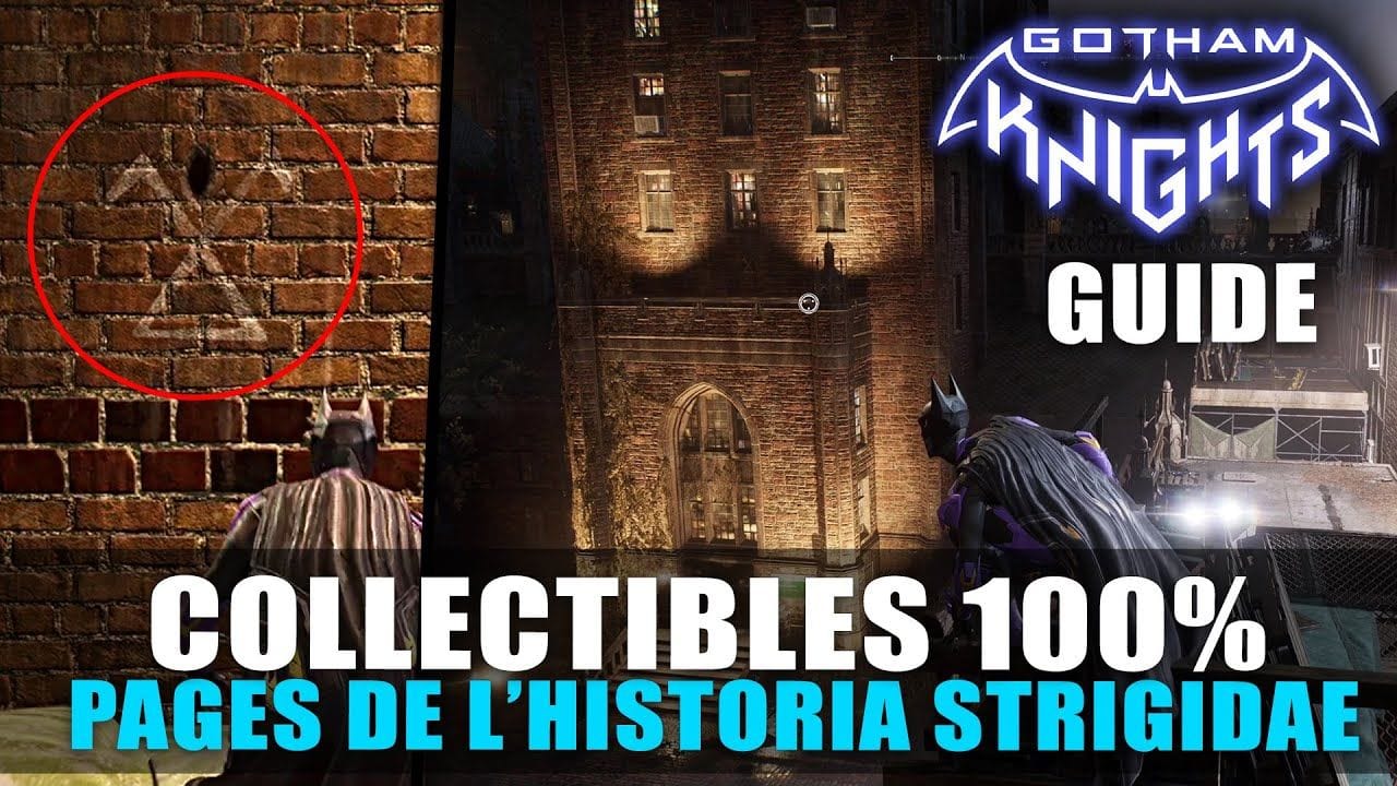 Gotham Knights - Toutes les Pages de l'Historia Strigidae (Guide Collectibles) Chouette découverte