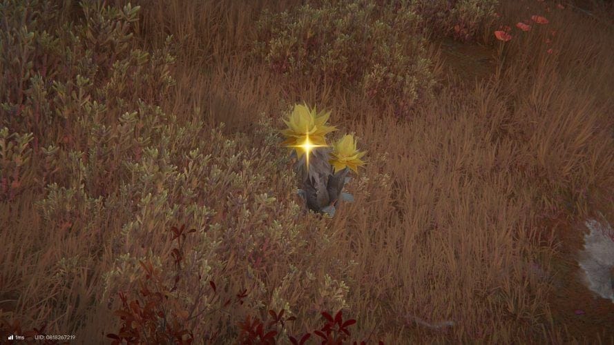 Sablante Arknights Endfield : comment obtenir cette plante ?