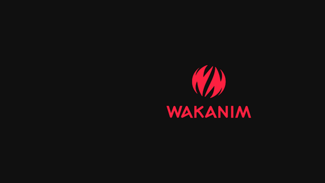 Pour les fans d'anime
