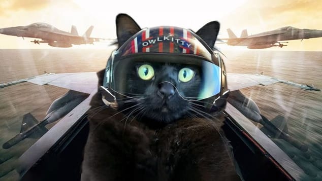 Stray s'invite dans Top Gun ^^.