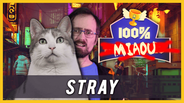 100% un succès - STRAY