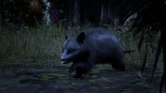 Opossum de Virginie Red Dead Redemption 2 : Où chasser cet animal ?
