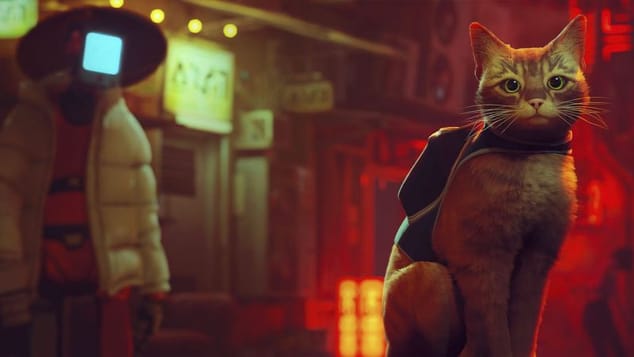 Stray 2 ? Avec ce qui se passe chez Annapurna Interactive, c'est mal embarqué