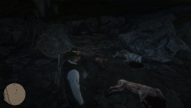 Homme sauvage Red Dead Redemption 2 : Où le trouver pour effectuer l'easter egg du loup-garou ?