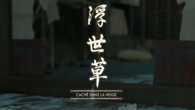 Caché dans la neige