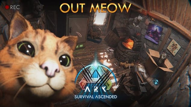The Cat: Out Meow