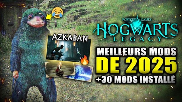 J'ai INSTALLÉ +30 Mods sur Howarts Legacy (Meilleurs Mods 2025 !) AZKABAN, Transformation, Donjon,..