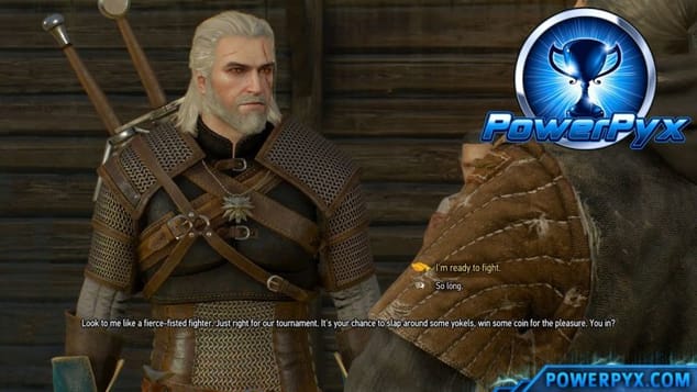 The Witcher 3 Wild Hunt - Fist of the South Star Trophy / Achievement Guide