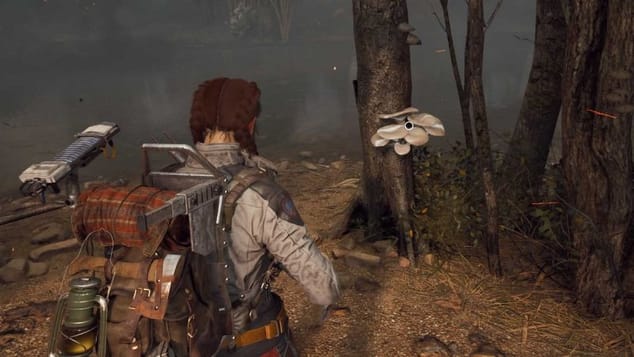 Où trouver des champignons dans ARC Raiders ?