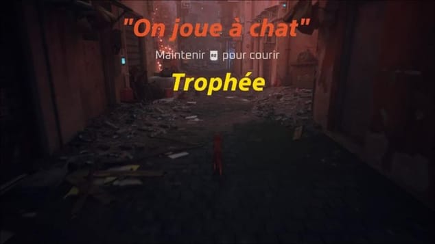 Succès "On joue à chat" Stray