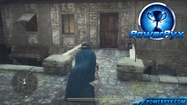 Dragon's Dogma 2 - Plenty Arisen to Go Round Trophy / Achievement Guide