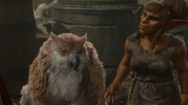 Ours Hibou Baldur's Gate 3 : Comment sauver l'ourson et le recruter ?