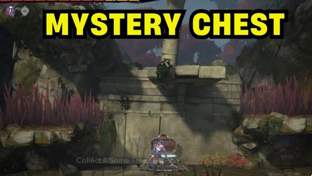 Mystery Chest 2 Hyrcanian Forest  SOLUTION - Prince of Persia The Lost Crown