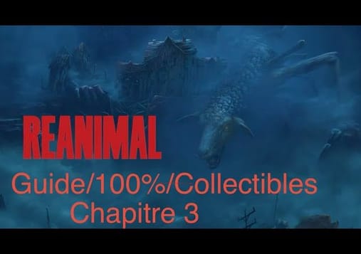Réanimal Guide/100%/Collectibles - Chapitre 3