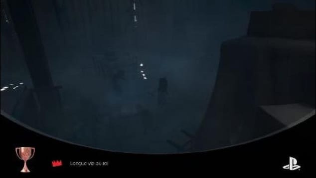 Réanimal Guide/Trophée Longue vie au roi Chapitre 4