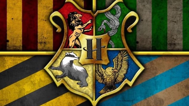 La série Harry Potter de HBO ajoute 21 nouveaux élèves à Poudlard