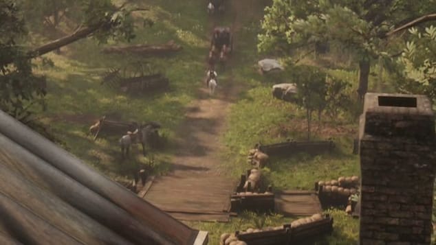 Activités du camp de Shady Belle