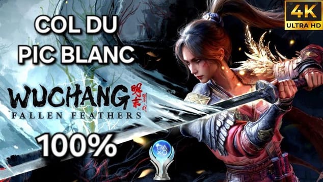 Wuchang Fallen Feathers - Guide 100% FR : 2 - 5 COL DU PIC BLANC (4K PC)