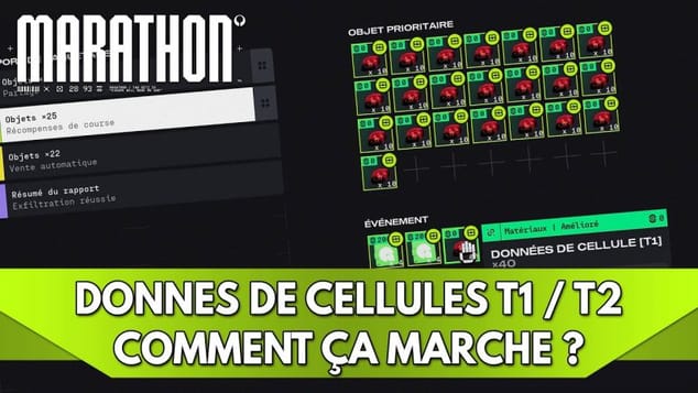 Marathon FR : Données de Cellules T1 & T2 | Comment ça marche ? #TheDecoder #MarathonCreator