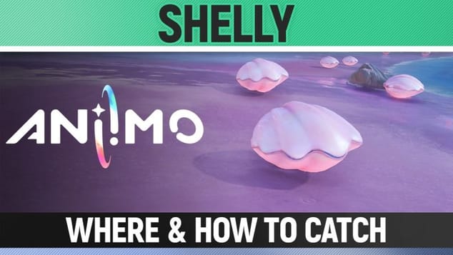 Aniimo - Shelly - Location (Where & How to Catch)