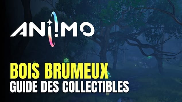 Aniimo - Bois Brumeux Guide des Collectibles