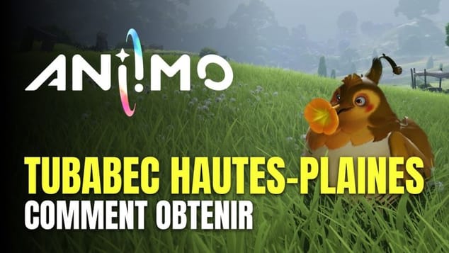 Aniimo - Comment Obtenir Tunabec Hautes-plaines