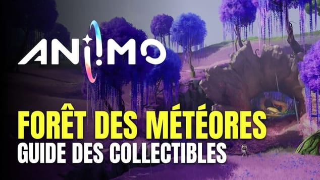 Aniimo - Forêt des Météores Guide des Collectibles