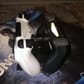 photo de profil de l3lack_D