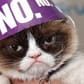 photo de profil de Grumpy Cat