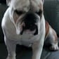 photo de profil de Majulou74