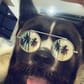 photo de profil de ZIAK