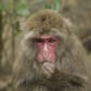 photo de profil de ririmomo99