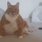 photo de profil de Bigburger_tk78