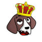 photo de profil de AdriTheDog