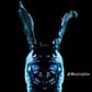 photo de profil de Whiteshark600