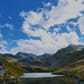 photo de profil de blue_dino10