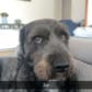 photo de profil de Kyauze