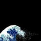 photo de profil de Juju_1515_