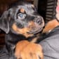 photo de profil de Killerlulu25