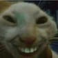 photo de profil de Tchounsoume