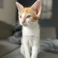 photo de profil de Matouu