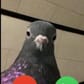 photo de profil de Ewan Quicq6873ab029ccbb