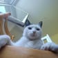 photo de profil de max35bzh