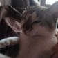 photo de profil de ArAnkou
