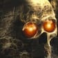 photo de profil de BoutyJDJ